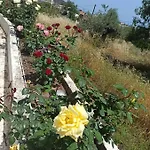 Panorama Ostello *