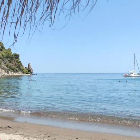 호스텔 Panorama *