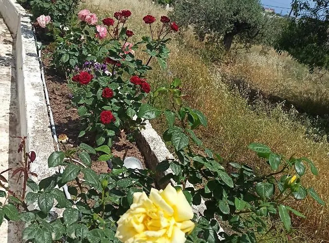 Panorama 호스텔 *